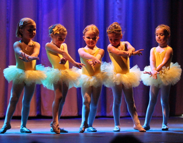 IMG_8711_crop